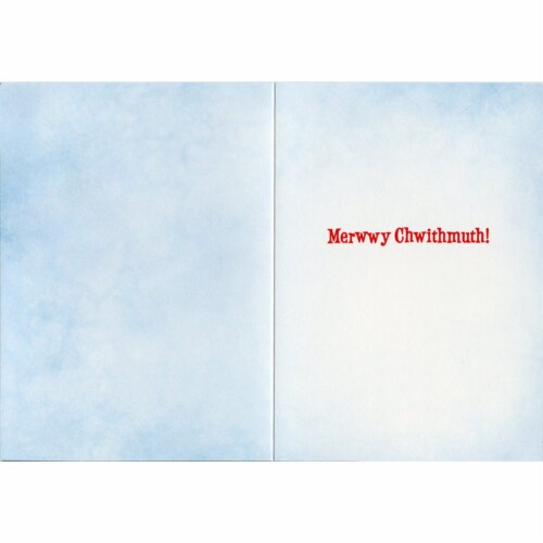 Avanti Dog Tongue Stuck on Pole Funny / Humorous Christmas Card Perspective: back