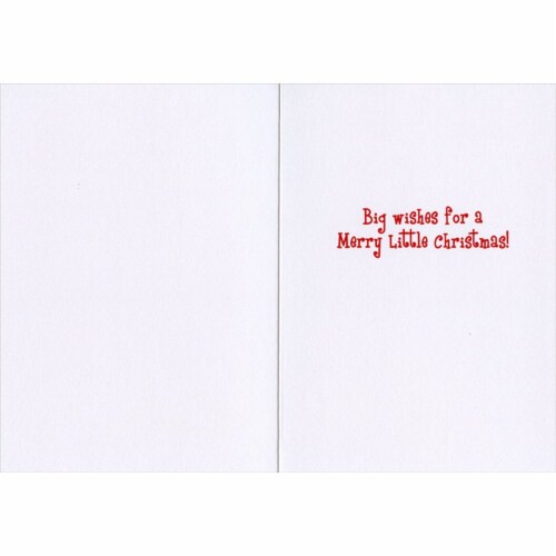 Avanti Cat In Small Box Funny / Humorous Christmas Card Perspective: back