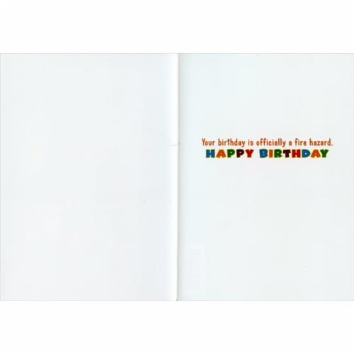 Avanti Surprised Dog Birthday Cake Lenticular Motion 3D Funny Birthday Card Perspective: back