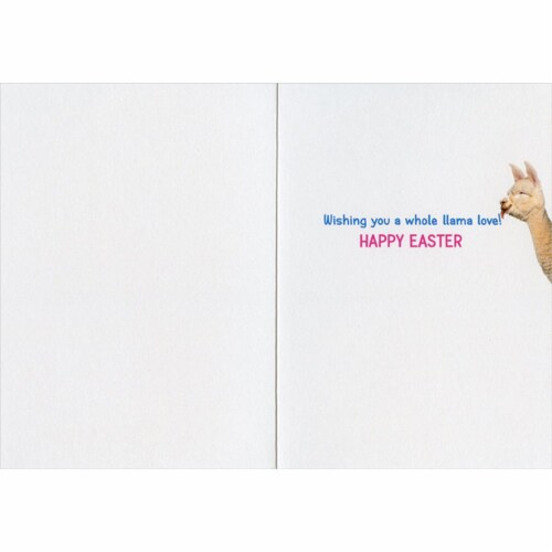 Avanti Llama and Chocolate Bunny Funny / Humorous Easter Card Perspective: back