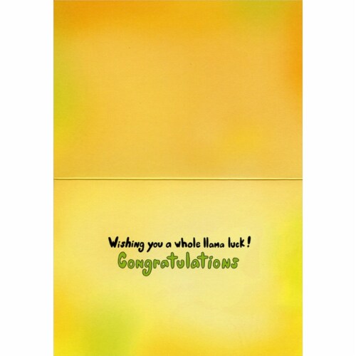 Avanti Cool Llama Funny / Humorous Graduation Card Perspective: back