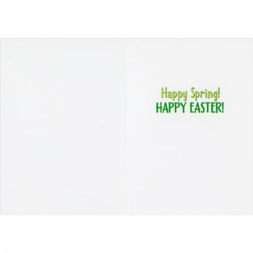 Avanti Press Greeting Cards Easter Bunny Smelling Flower Perspective: back