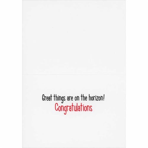 Avanti Five Flamingos Wearing Grad Caps Funny Congratulations Graduation Card Perspective: back