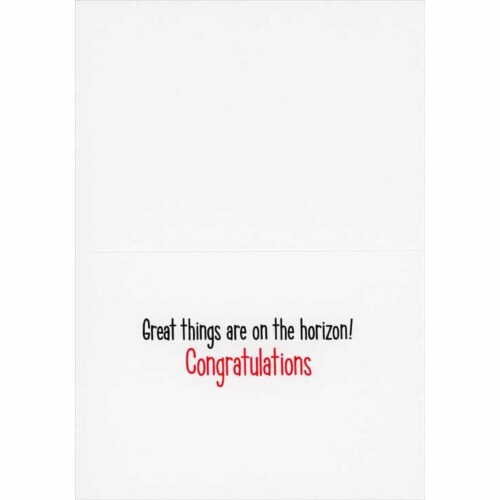Avanti Five Flamingos Wearing Grad Caps Funny Congratulations Graduation Card Perspective: back