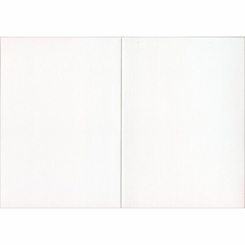 Avanti Press Greeting Cards Blank Cat Friends Perspective: back