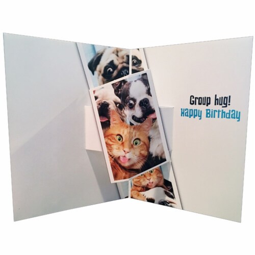 Avanti Press Greeting Cards Birthday Dog/Cat Photobooth Fun Perspective: back