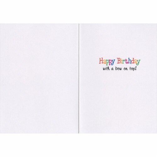 Avanti Press Greeting Cards Birthday Cat Wrapping Paper Dress Perspective: back