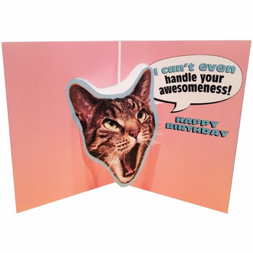 Avanti Press Greeting Cards Birthday OMG Cat Perspective: back