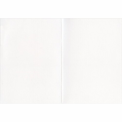 Avanti Press Greeting Cards Blank Golden Retriever Puppy Perspective: back