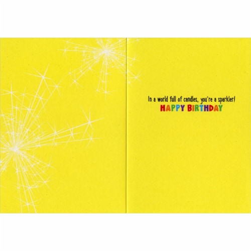 Avanti Press Greeting Card Birthday Cat With Sparkler Cake Perspective: back