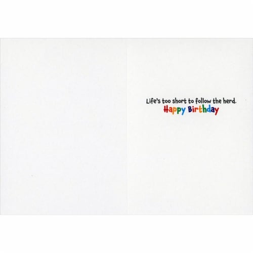 Avanti Press Greeting Cards Birthday- ALPACA FEDORA DUDE Perspective: back