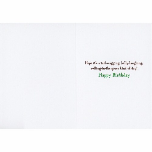 Avanti Press Greeting Cards Birthday Happy Dogs (Odin and June) Perspective: back