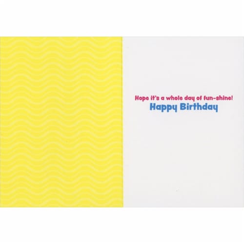 Avanti Press Greeting Cards Birthday- DOG POOL PARTY Perspective: back