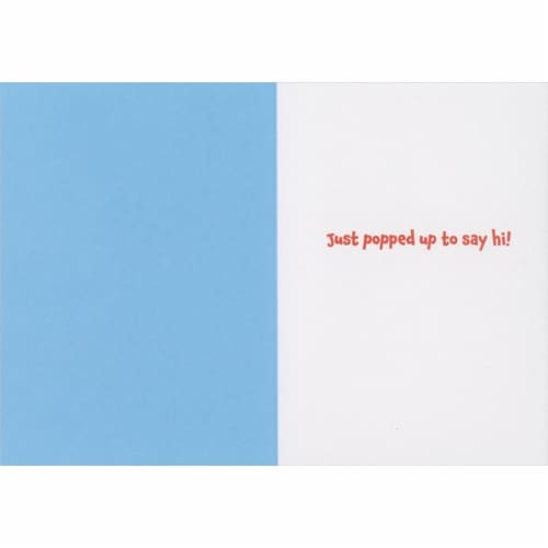 Avanti Press Greeting Cards Friendship Bobbing Seal Perspective: back