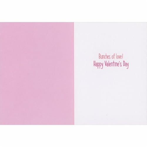 Avanti Smiling Gray and White Cat Face Inside Pink and Peach Roses Valentine's Day Card Perspective: back