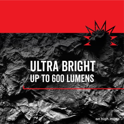 Rayovac® Virtually Indestructible 600 Lumens LED Camping Lantern Perspective: back