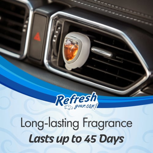 Refresh Your Car!® Diffuser Air Freshener Champagne In The Sun Scent Perspective: back