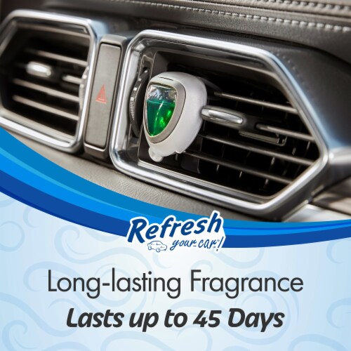 Refresh Your Car!® Diffuser Air Freshener Bergamot Tea Scent Perspective: back