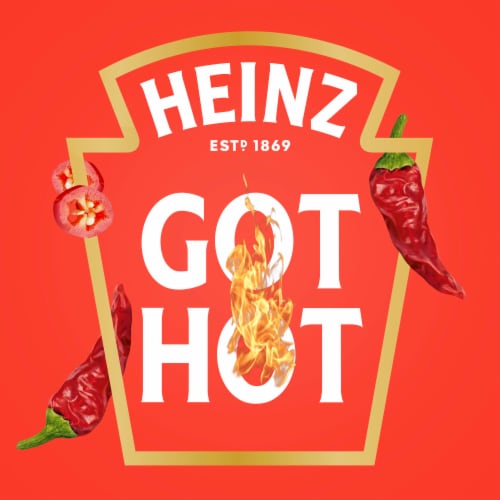 Heinz Medium Chipotle Spicy Tomato Ketchup Perspective: back