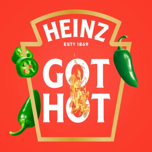 Heinz Hot Jalapeno Spicy Tomato Ketchup Perspective: back