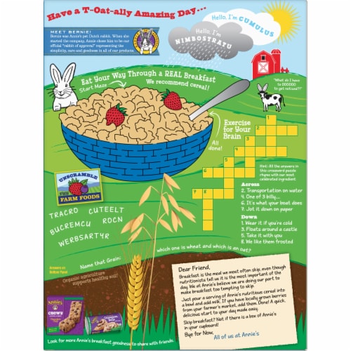 Annie's™ Homegrown Organic Frosted Oat Flakes Cereal Perspective: back