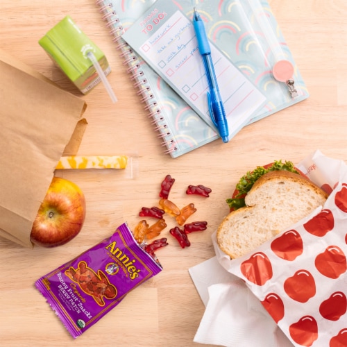 Annie's™ Organic Berry Patch Bunny Gluten Free Fruit Snacks Perspective: back