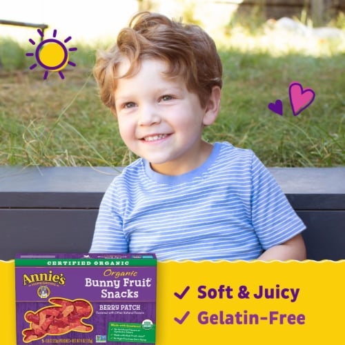 Annie's Organic Berry Patch Gluten Free Bunny Fruit Snacks Perspective: back