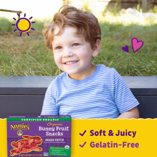 Annie's Organic Berry Patch Gluten Free Bunny Fruit Snacks Perspective: back