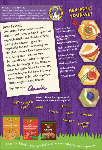 Annie's™ Organic Cheddar Classics Baked Crackers Perspective: back