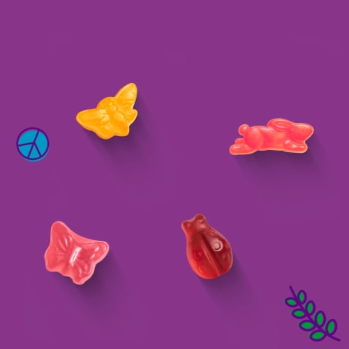 Annie’s Organic Bees Bugs & Butterflies Fruit Kid Snack Perspective: back