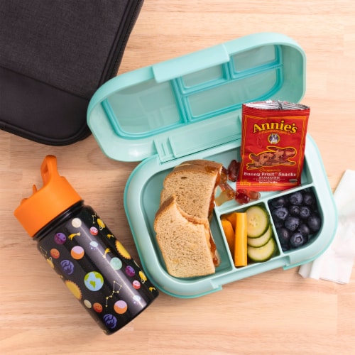 Annie's Organic Bunny Fruit Flavored Snacks Easter Basket Stuffers Perspective: back