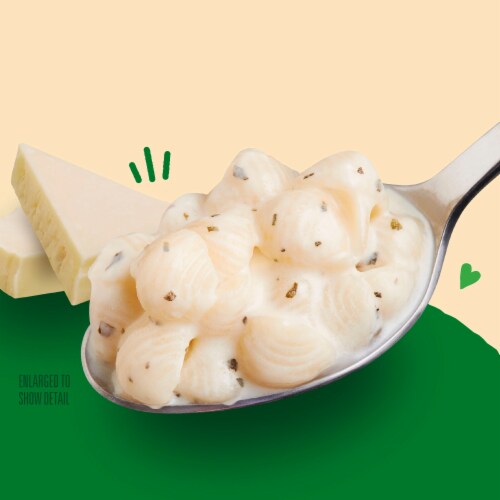 Annie's™ Organic Shells & Alfredo Cheddar Mac N Cheese Dinner Perspective: back