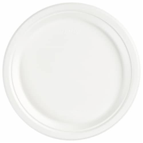 Hefty EcoSave™ 100% Compostable Paper Plates Perspective: back
