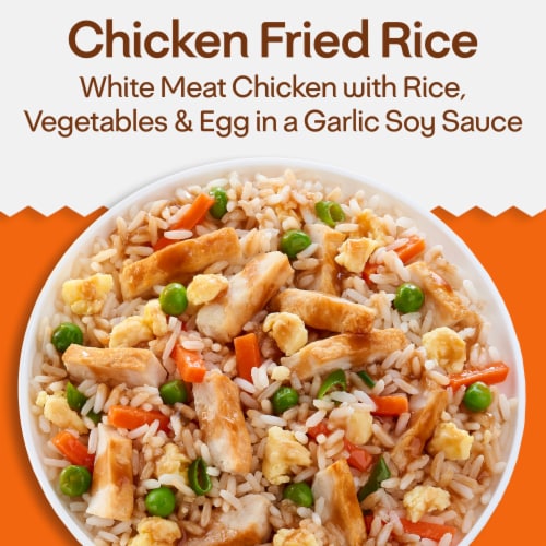 Lean Cuisine Favorites Chicken Fried Rice Frozen Meal Perspective: back