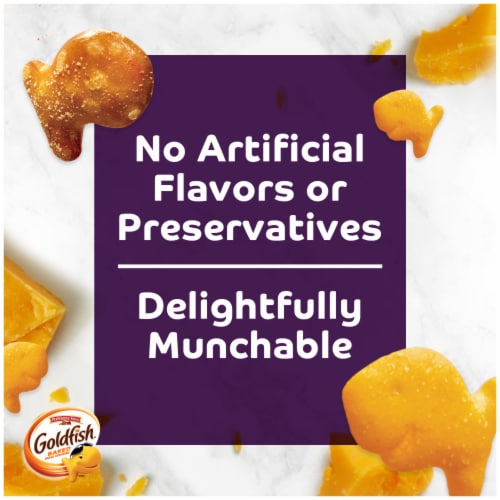 Pepperidge Farm® Goldfish® Mix Xtra Cheddar & Pretzel Baked Snack Crackers Perspective: back