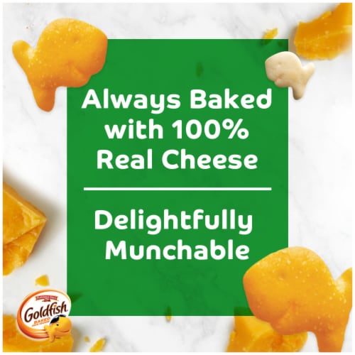Pepperidge Farm Goldfish Mix Cheddar + Zesty Cheddar + Parmesan Crackers Perspective: back