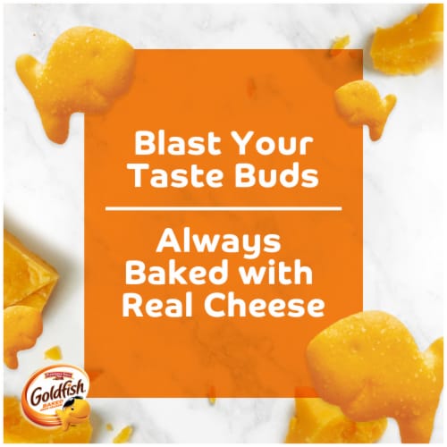 Goldfish® Flavor Blasted Cheddar & Sour Cream Flavored Snack Crackers Perspective: back