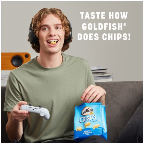 Goldfish® Crisps Salt & Vinegar Crisps Crackers Perspective: back