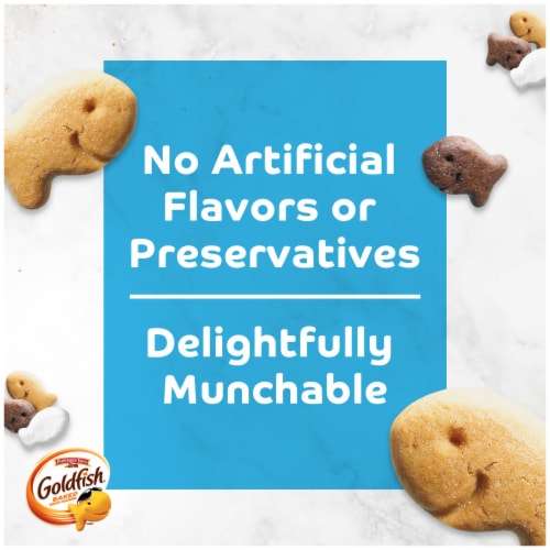 Goldfish Grahams S'mores Crackers Snack Crackers Perspective: back