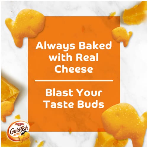 Goldfish Flavor Blasted Xtra Cheddar Cheese Crackers On-the-Go Snack Packs Perspective: back