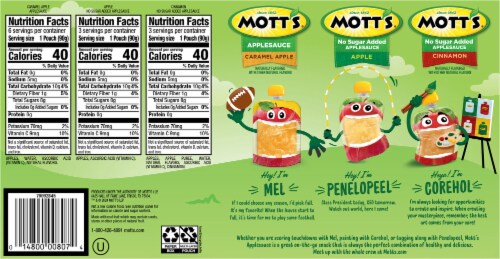 Mott's® 3 Floavors Fall Fun Variety Pack Perspective: back