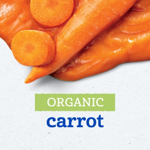 Gerber 1st Foods for Baby Organic Food Carrot Perspective: back