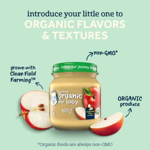 Gerber® Organic 2nd Foods Sweet Potato Apple Carrot & Cinnamon Stage 2 Baby Food Perspective: back
