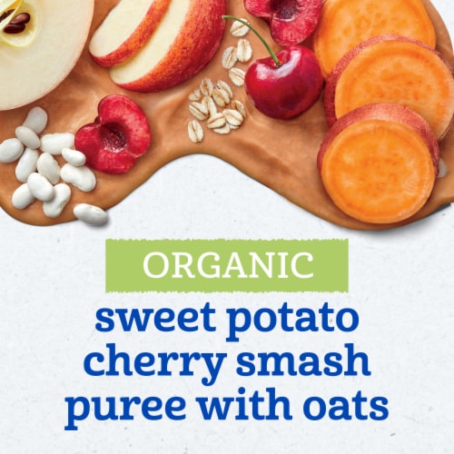 Gerber Organic for Toddler Plant-tastic Toddler Food Sweet Potato Cherry Smoothie Pouch Perspective: back