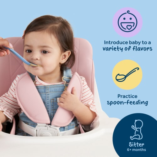 Gerber 2nd Foods Natural for Baby WonderFoods Baby Food Bananas Apple Pear Perspective: back