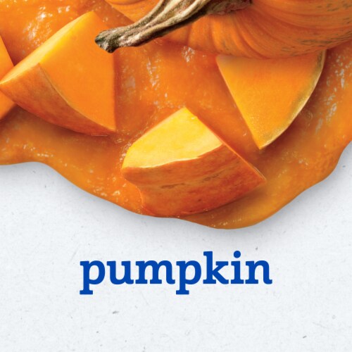 Gerber 2nd Foods Natural for Baby Baby Food Pumpkin 4 oz Tubs (2 Pack) Perspective: back