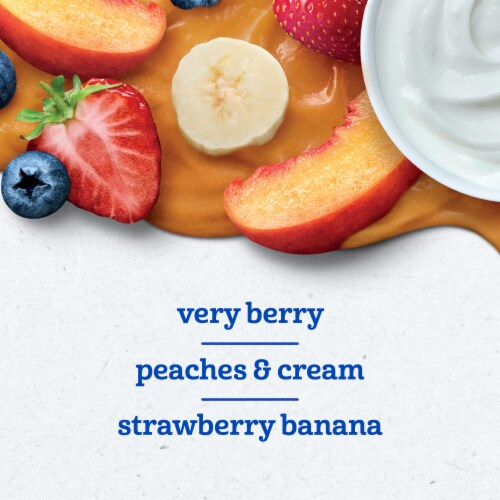 Gerber Fruit & Yogurt Toddler Food Variety Pack Pouches Perspective: back