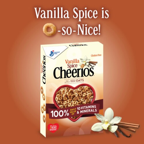 General Mills Vanilla Spice Cheerios Cereal Perspective: back