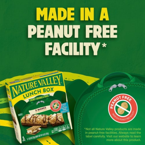 Nature Valley Peanut Free Chewy S'mores Granola Bars Perspective: back