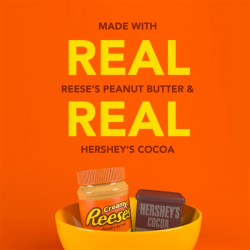General Mills Reese's Puffs Bag Cereal Perspective: back